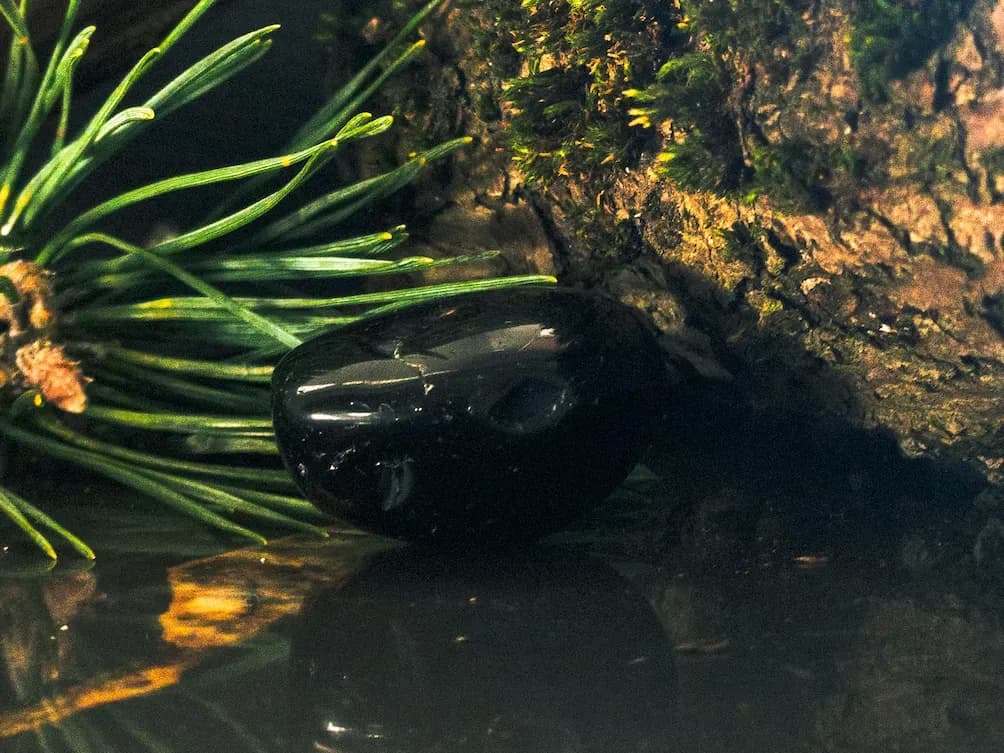 Juodasis obsidianas