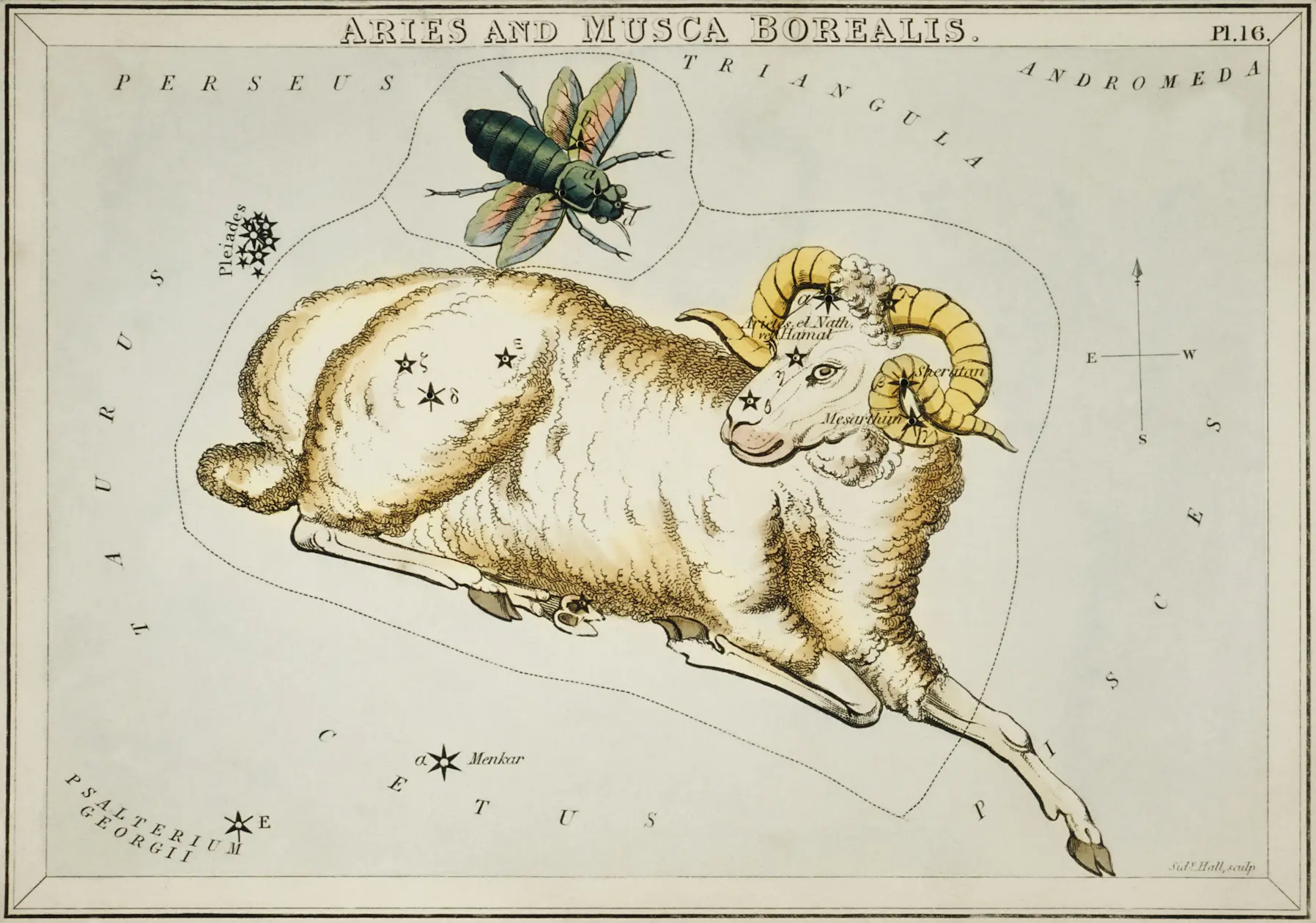 Avinas